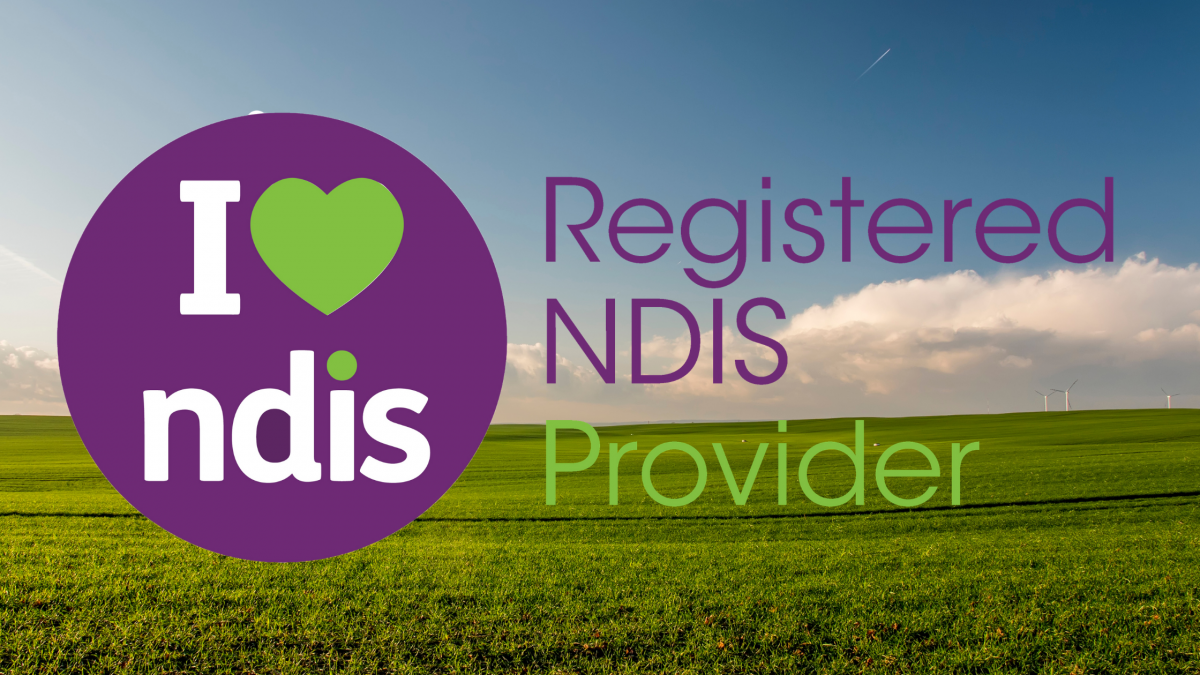 NDIS-1200x675.png